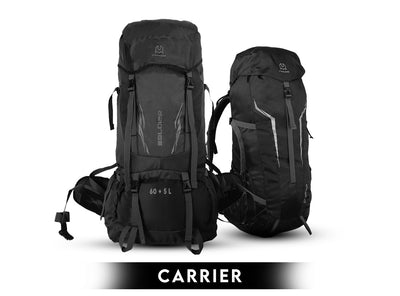 Carrier
